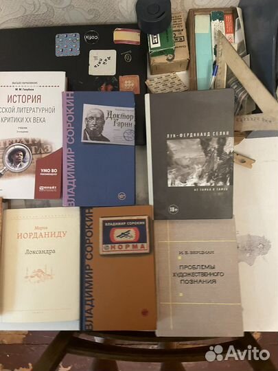 Книги: Сорокин, Лимонов, Селин и другие