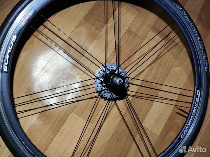 Колесо campagnolo