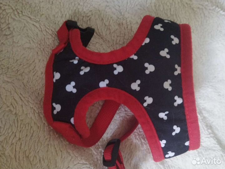 Шлейка для маленькой собаки