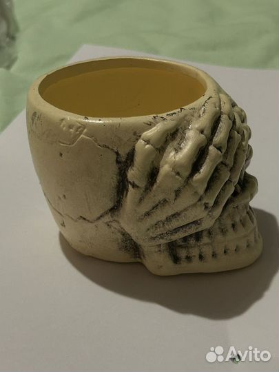 Горшки для кактусов и суккулентов