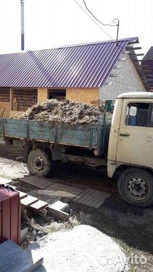 Дрова берёза сосна