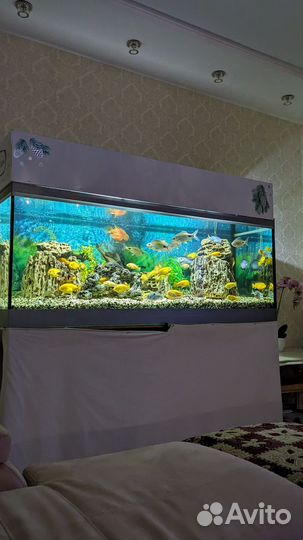 Аквариум
