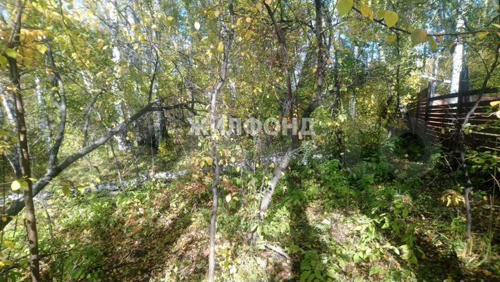 Участок 6 сот. (СНТ, ДНП)