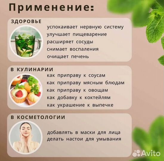 Мята сушеная Дюшес