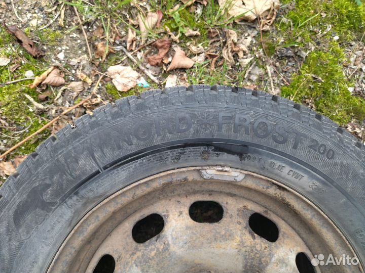 Gislaved Nord Frost 200 195/65 R15