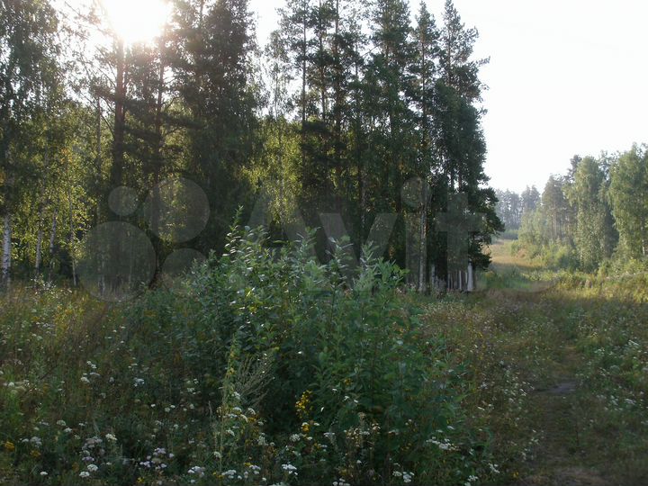 Участок 92 сот. (ИЖС)