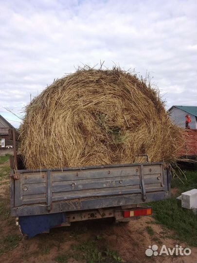 Сено в рулонах 2023