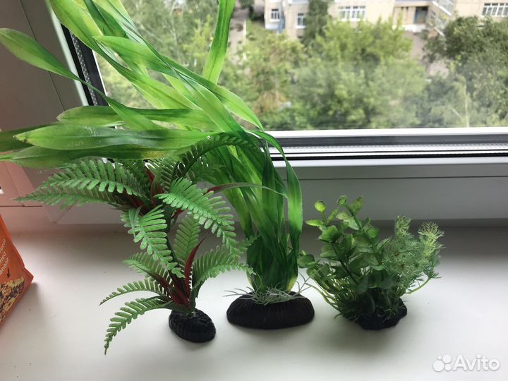 Аквариумные растения, декорации