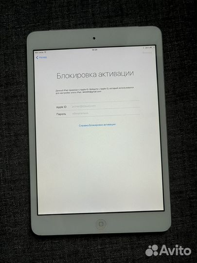 iPad mini wifi + cellular