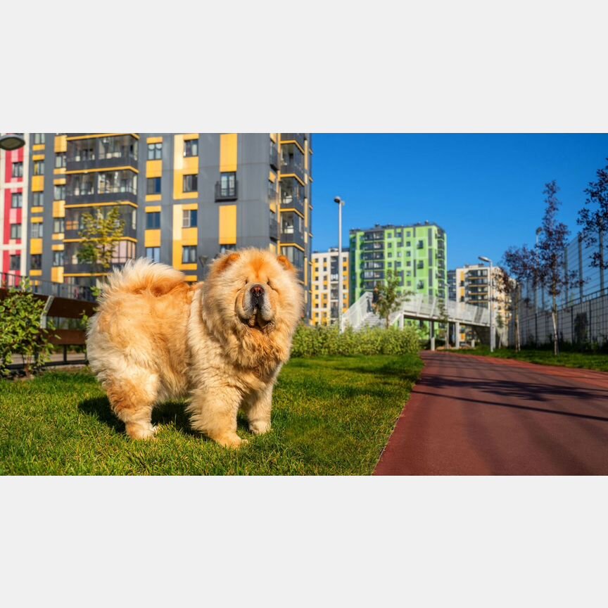 2-к. квартира, 60,2 м², 1/7 эт.