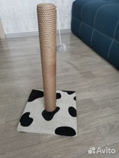 Когтеточка