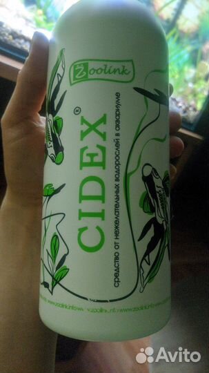 Сандерс/ Cidex