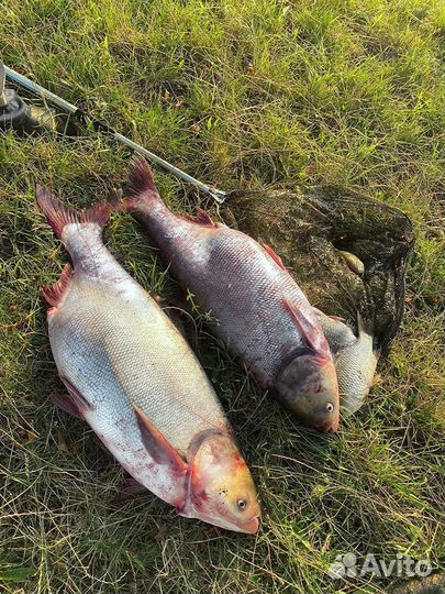 Рыбалка и отдых