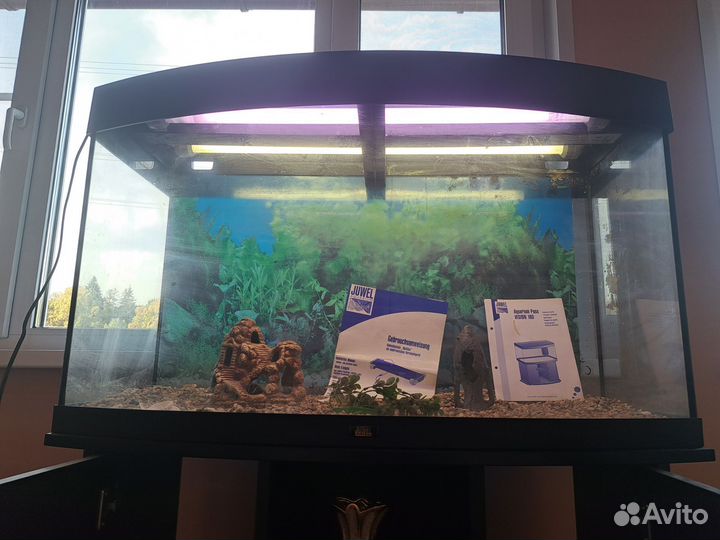 Аквариум