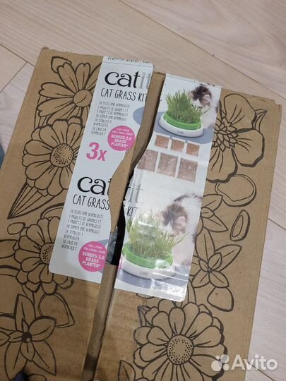 CatitCatGrass набор для выращивания кошачьей травы