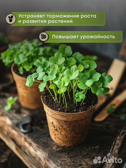 Зола Древесная Березовая удобрение для растений 1