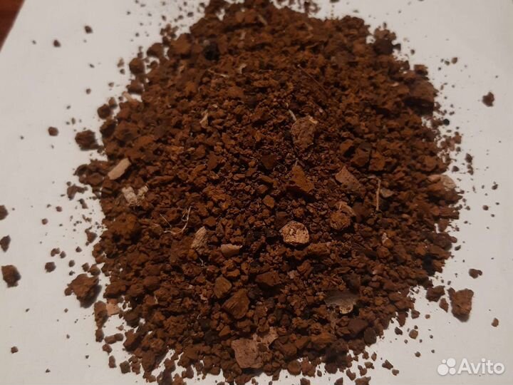 Чага березовая