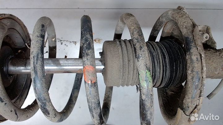 Амортизатор подвески Nissan Elgrand, 2000