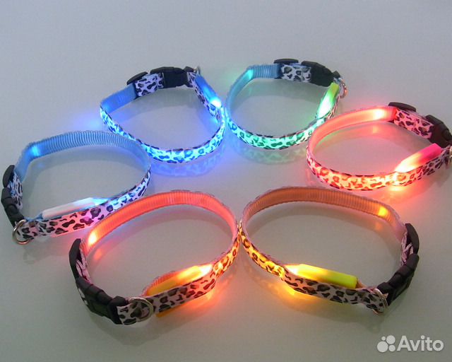 Светодиодный поводок и ошейник