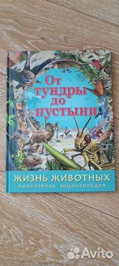 Энциклопедия