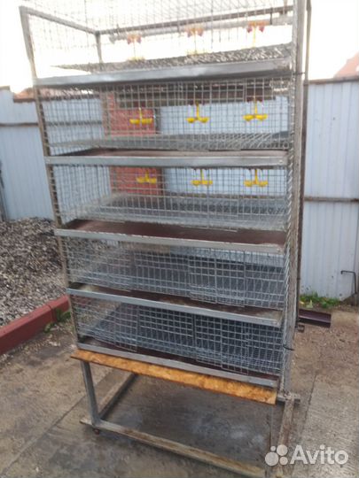 Клетки для перепелов бу