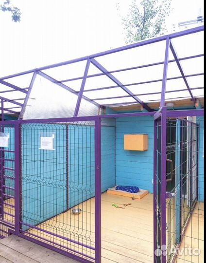 PETlandia - зоогостиница, передержка для собак