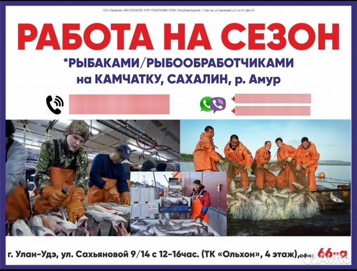 Обработчик рыбы