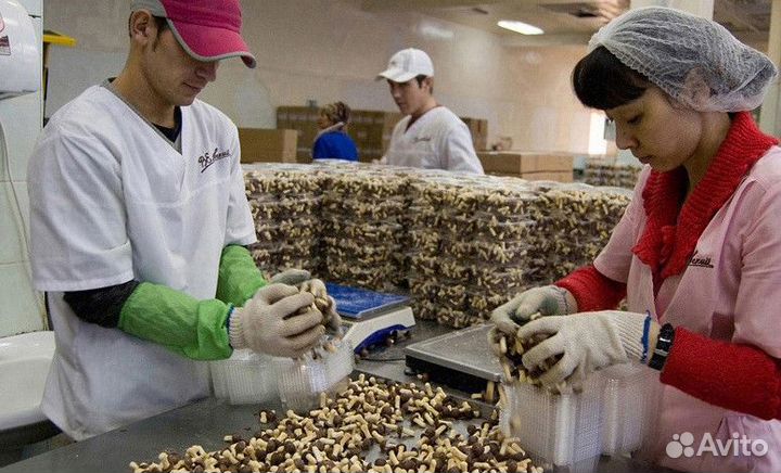 Грузчик вакансия