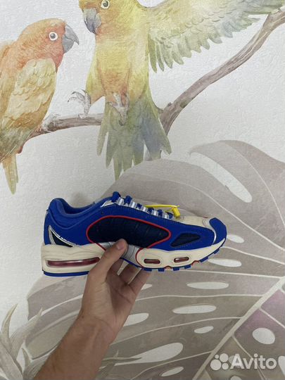 Nike air max tailwind 4