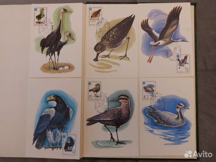 Картмаксимум,фауна СССР