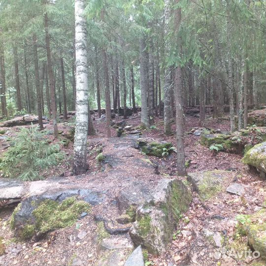 Экскурсовод,гид