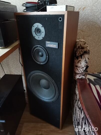 Колонки Sony SS U421AV