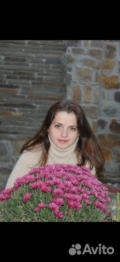 Главный бухгалтер удаленно