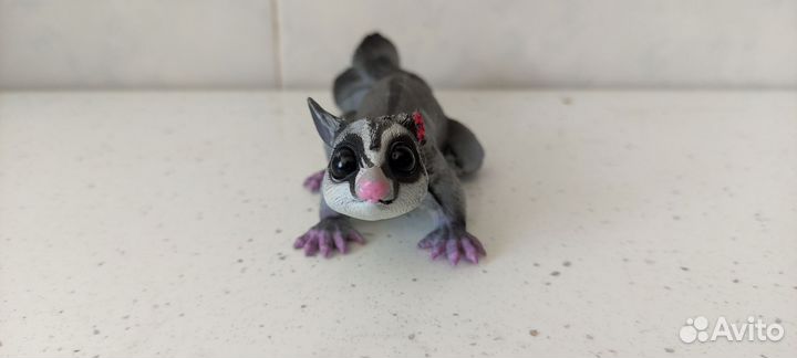 Safari сахарный поссум