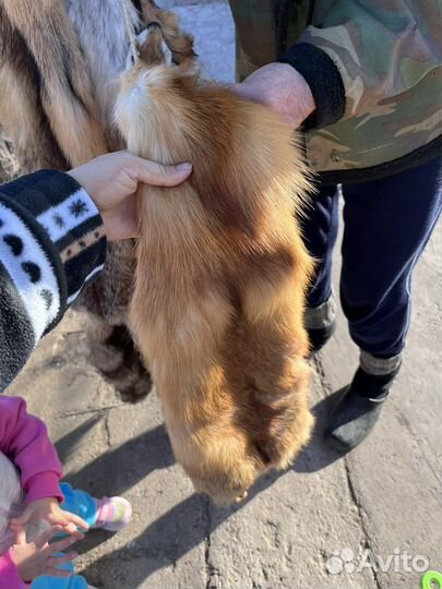 Выделыные лисьи шкуры