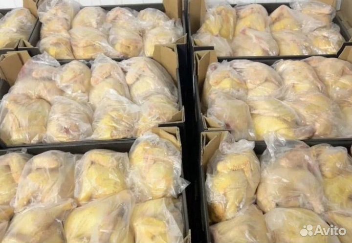 Домашний бройлер,Куры от производителя