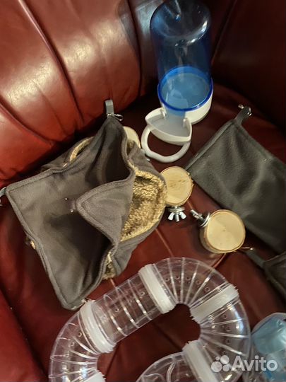 Для крысок)