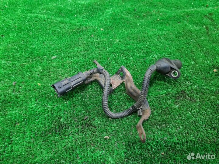 Датчик положения коленвала Solaris 1 Rio 3,1.4 1.6