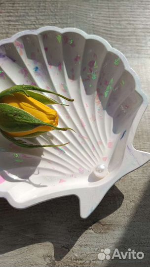 Ракушки из гипса