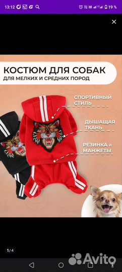 Костюм для собачки