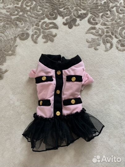 Одежда для собачки