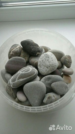 Морские камни