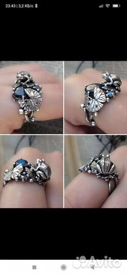 Скарабей. Рыба. Дракон.Будда(паспорт)