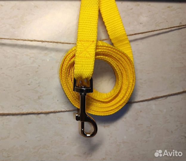 Амуниция для собак