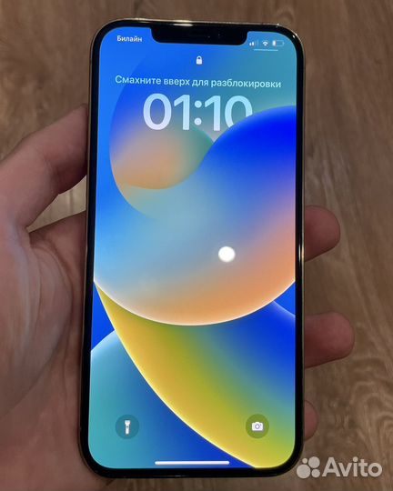 iPhone 12 pro max 256 gb