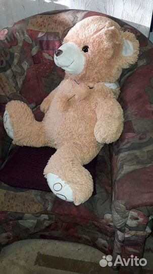 Медведь. Большой