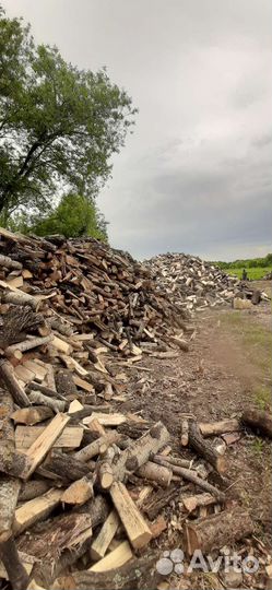 Продам колотые дрова