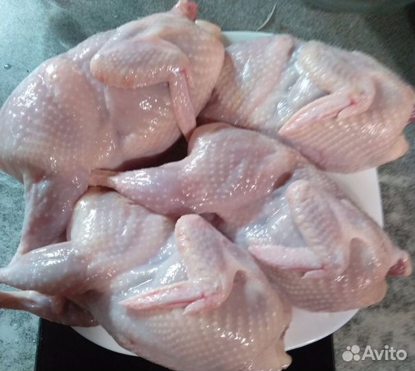 Яйцо инкубационное перепел Техас