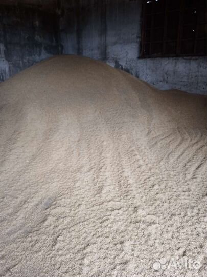 Зерно пшеница ячмень