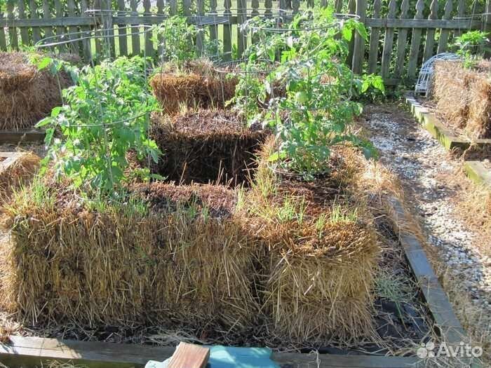 Солома в тюках